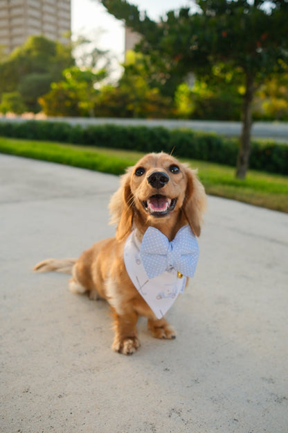 Golf Caddy Bandana