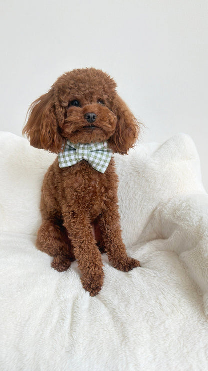 Spring Green Gingham Bow