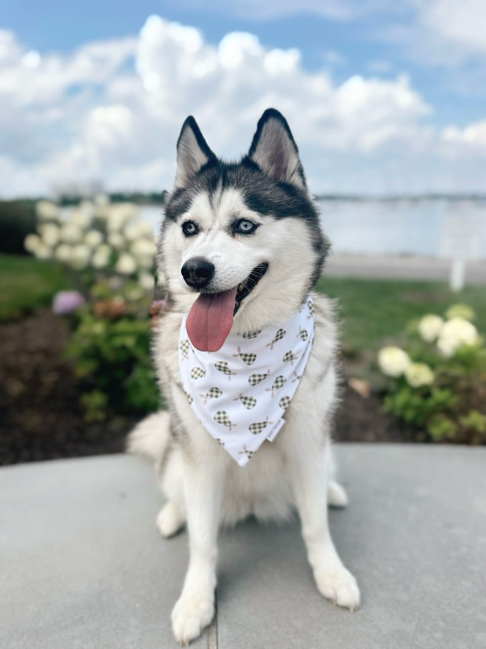 Pears Reversible Bandana