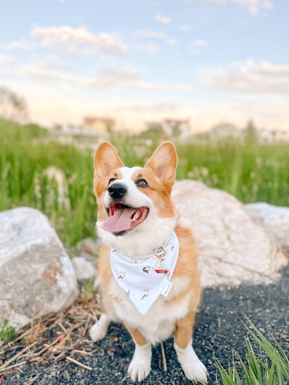 Trout Lures Bandana