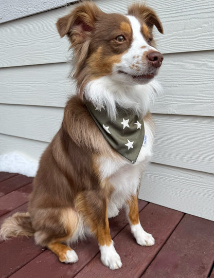 Oliver Stars Bandana