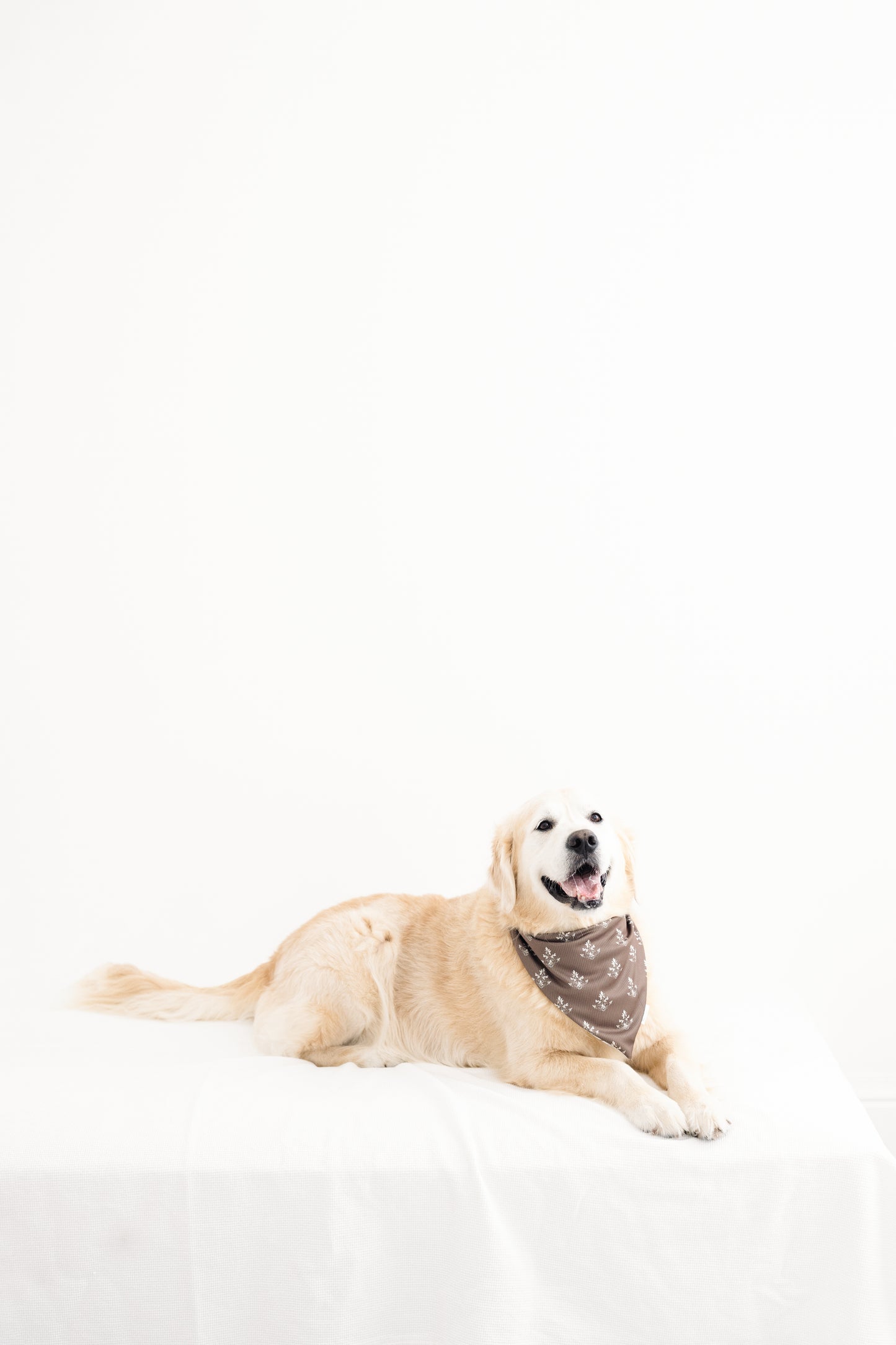 Amelia Reversible Bandana