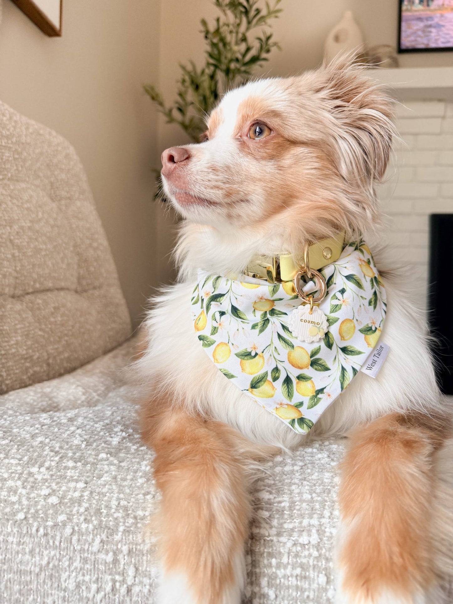 Spring Lemons Bandana