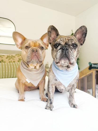 Blueberries & Polka Dots Bandana