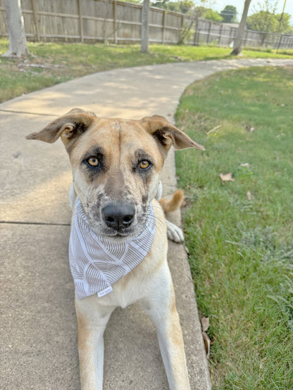 Matthews Reversible Bandana