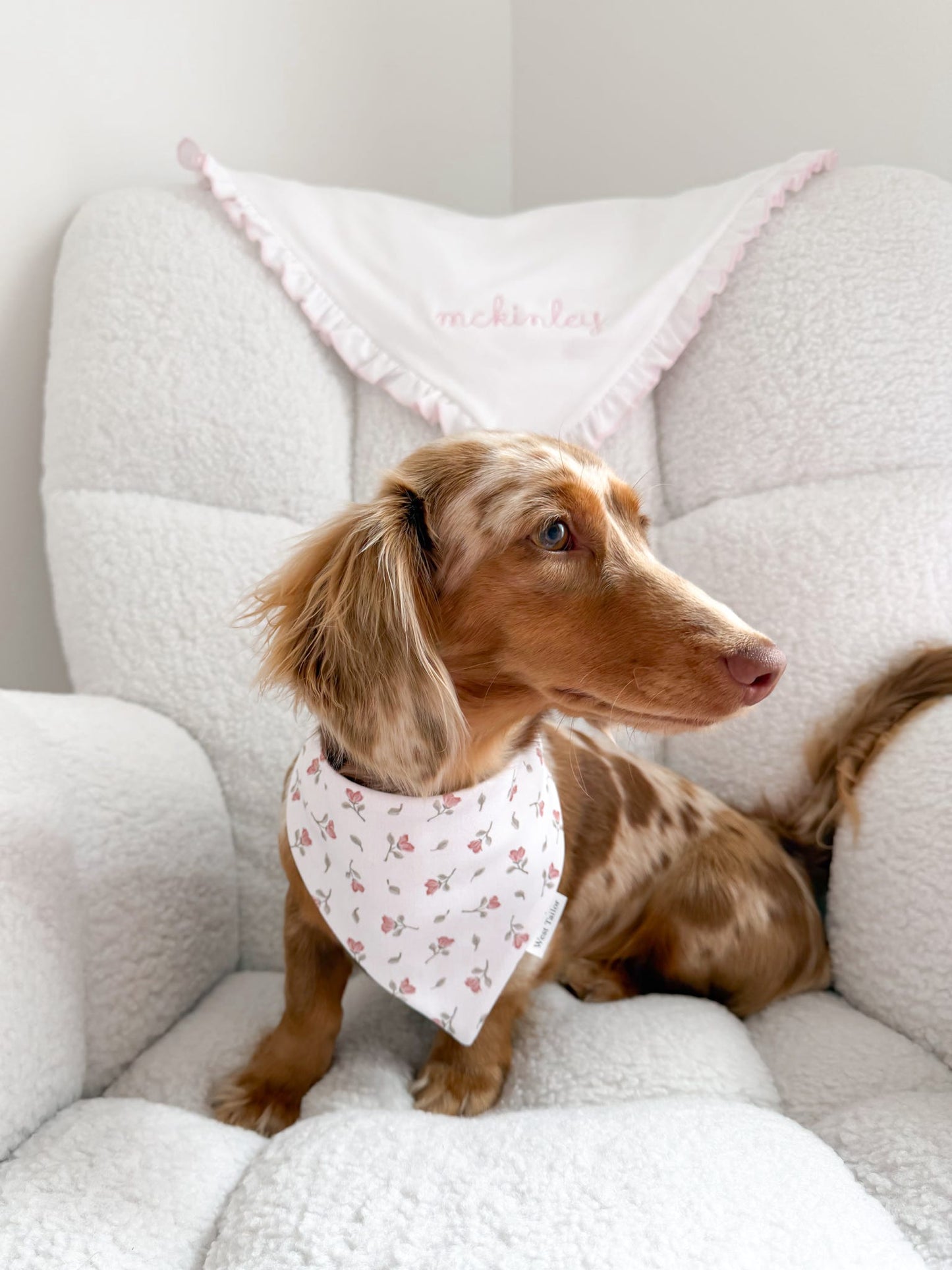 Shelia Rose Bandana