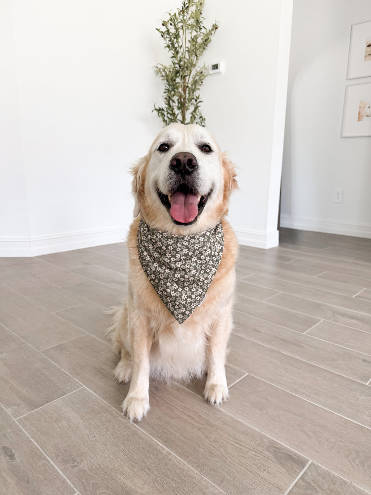 Olivia Reversible Bandana
