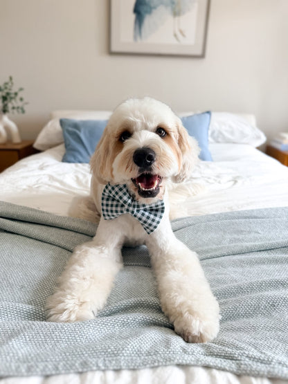 Braden Gingham Bow