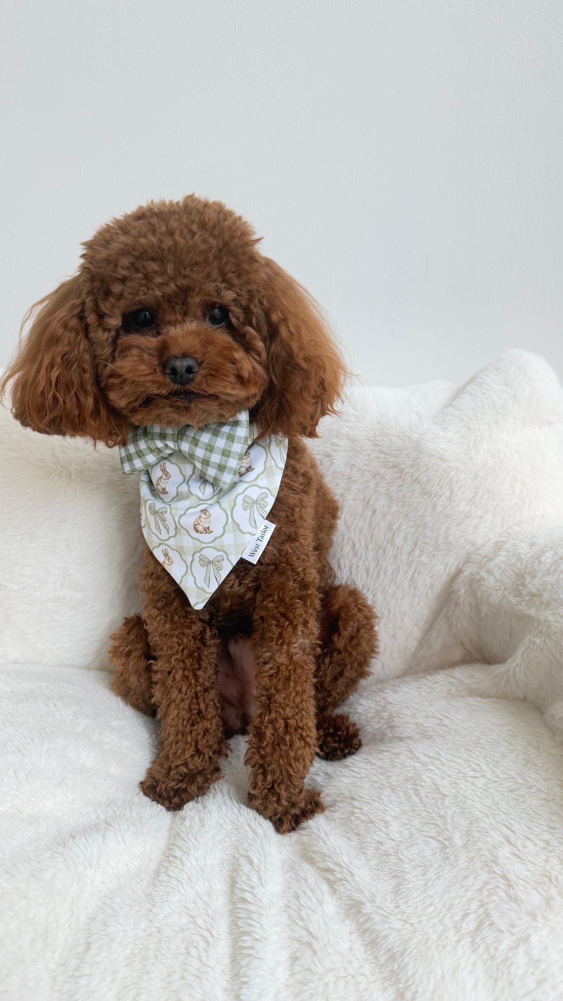 Spring Green Gingham Bow