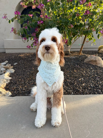 Benny Lou Bandana