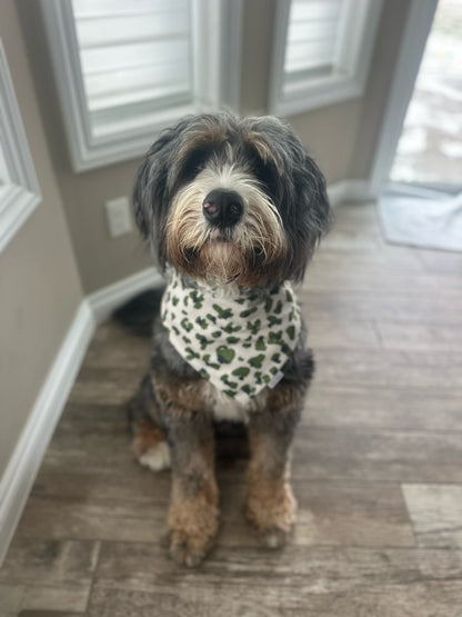 Remi Bandana