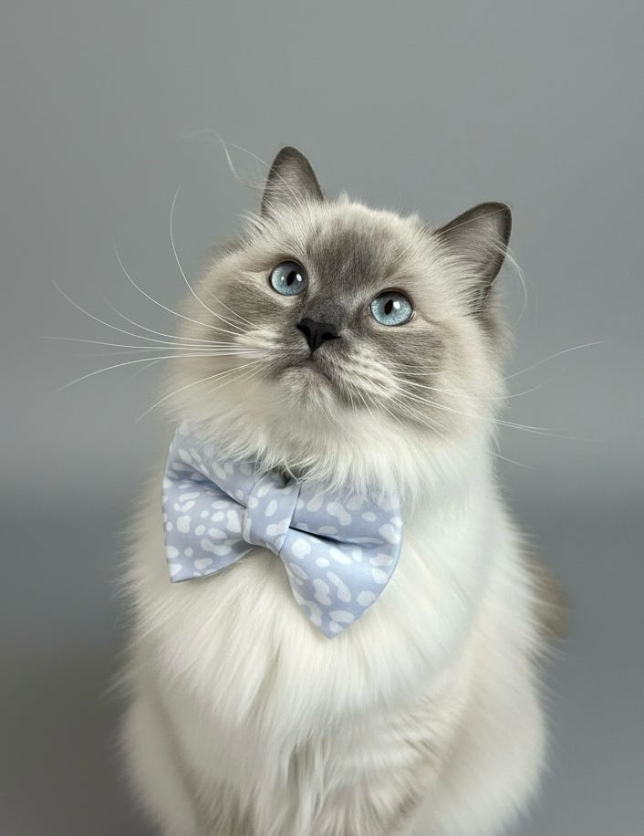 Pastel Cheetah Bow