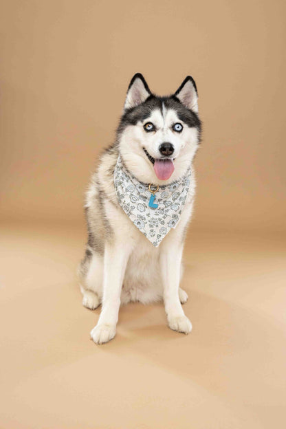 The Sinclair Bandana