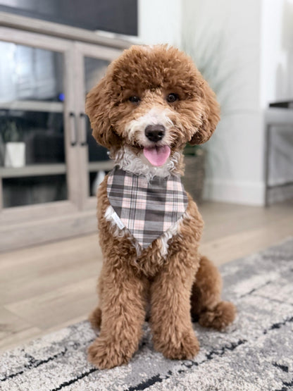 Pumpkins & Flannel Reversible Bandana