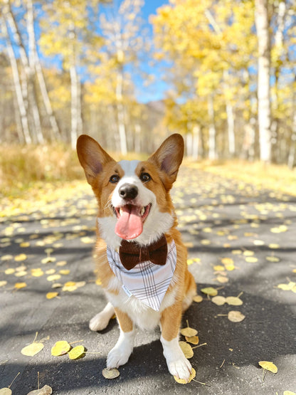 Frankie Reversible Bandana