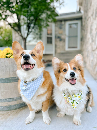 Spring Lemons Bandana