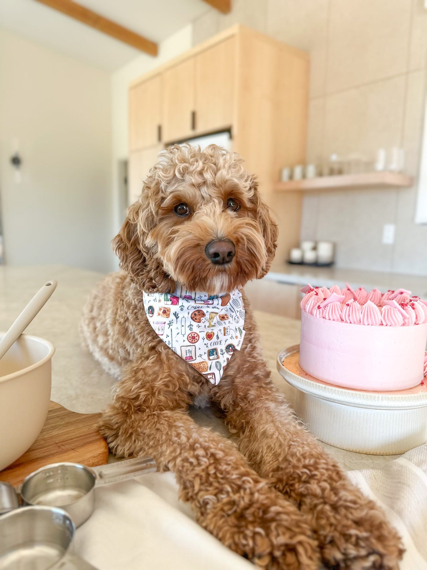 Baked With Love Bandana