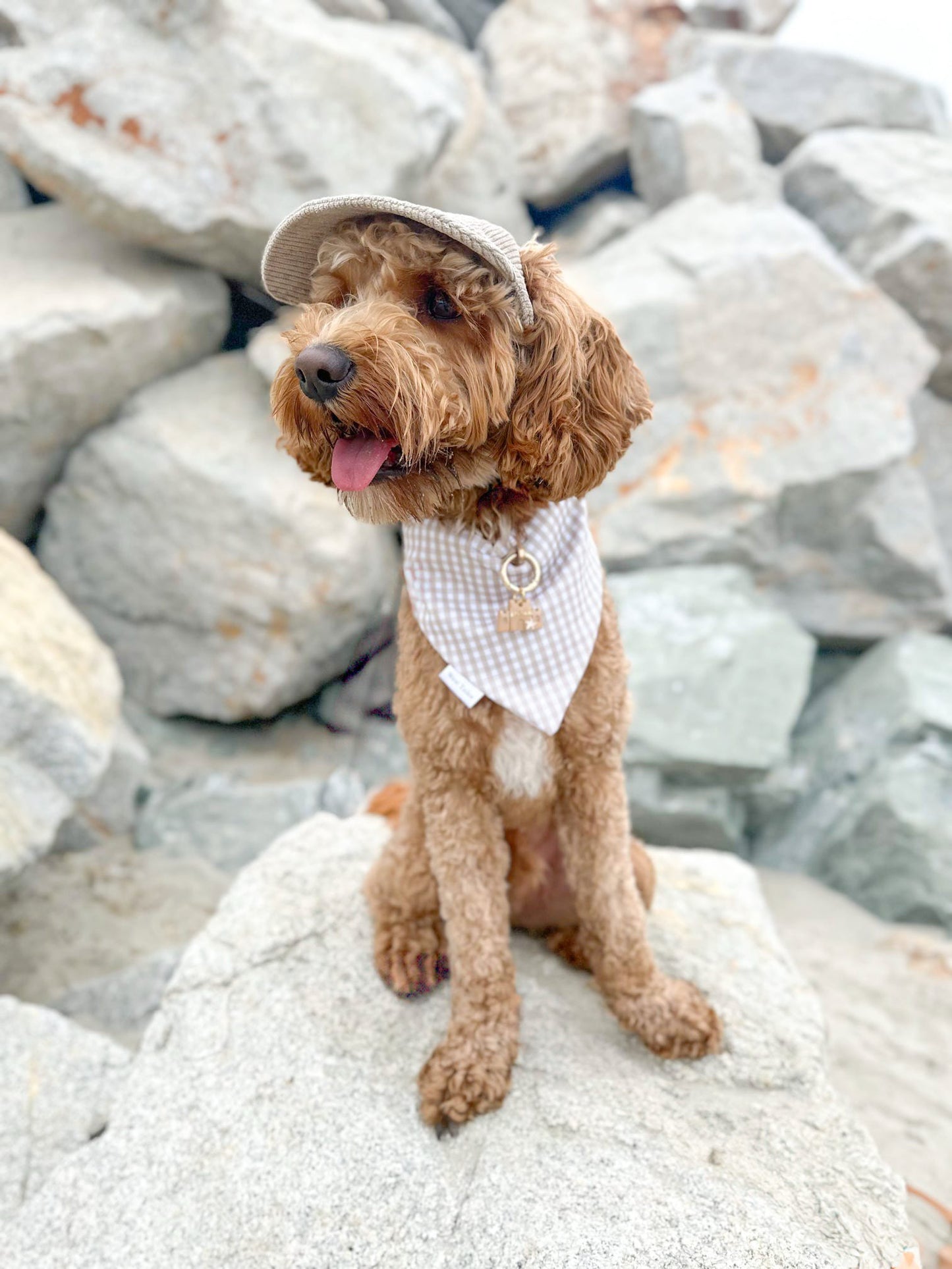 Harvest Pups Bandana