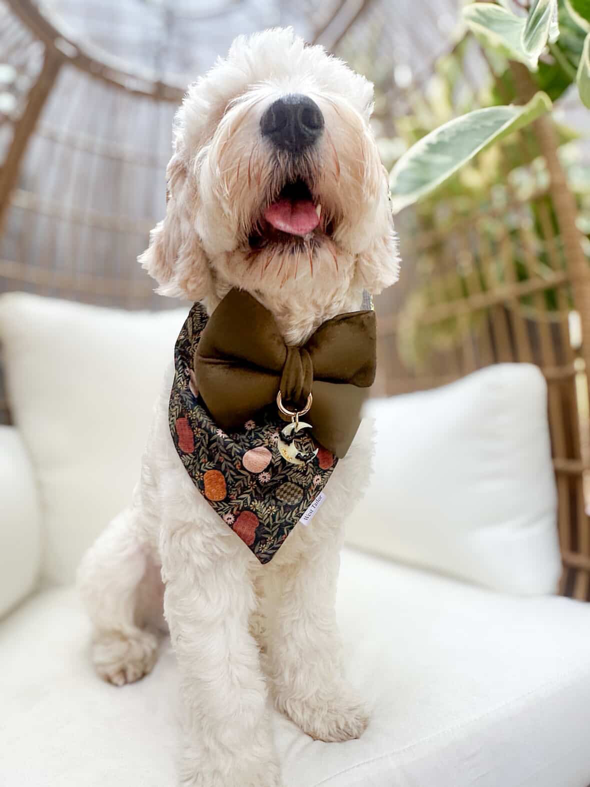 Bexley Bandana