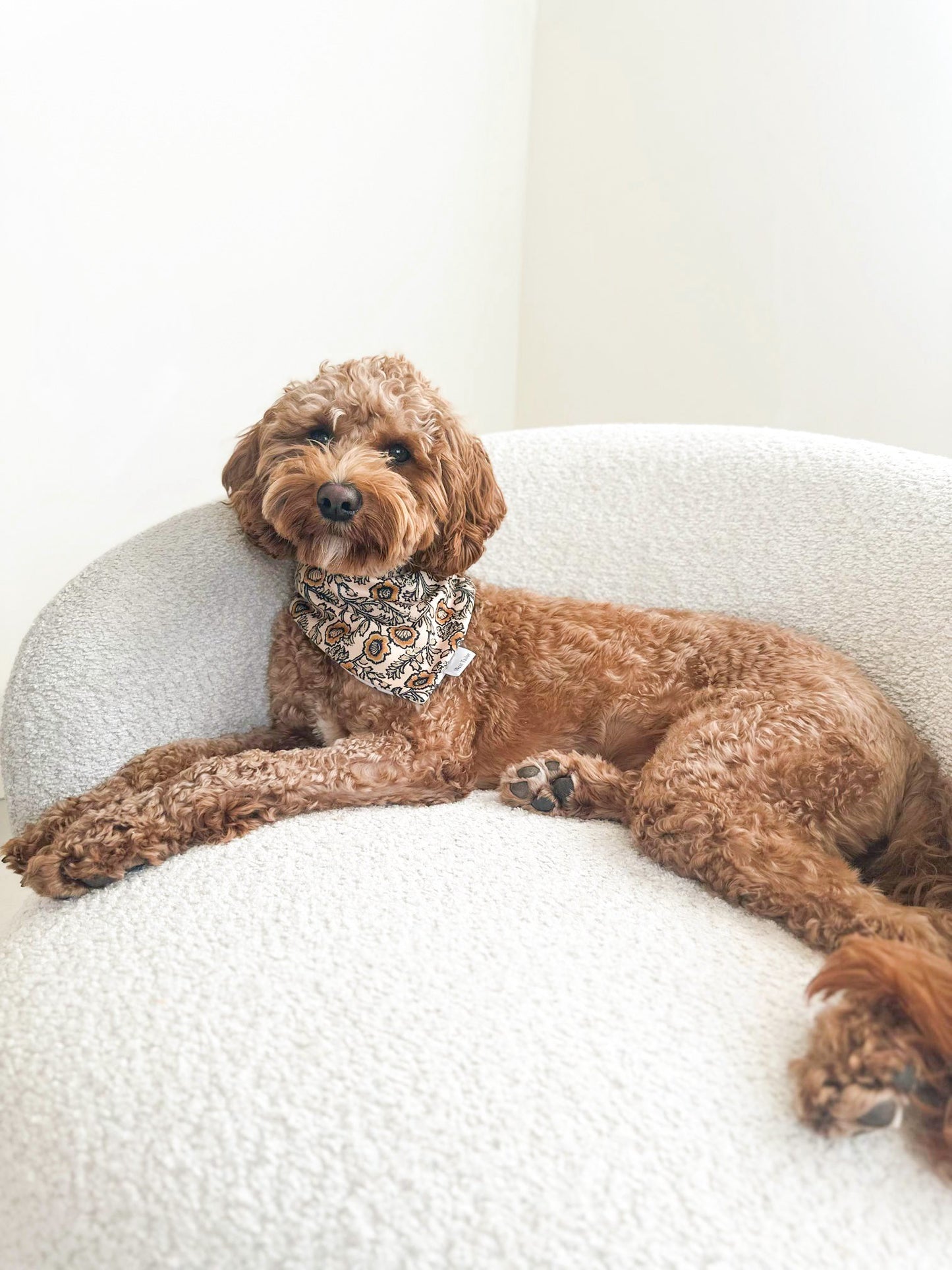 Lennox Bandana