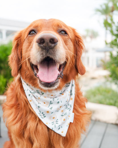Magnolia Bandana
