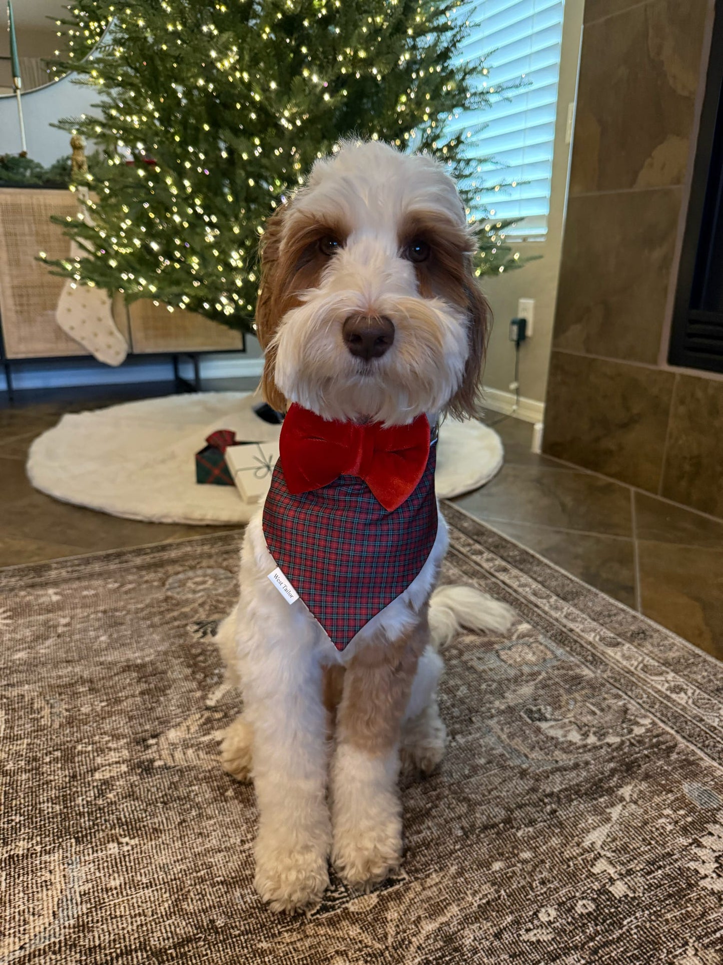 Merry & Bright Performance Bandana