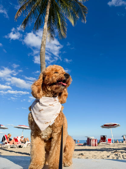 The Wadsworth Bandana