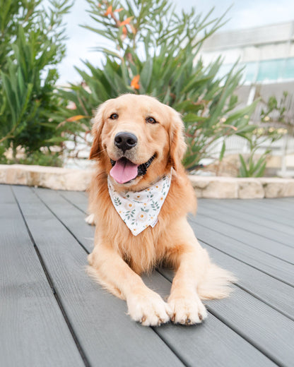 Magnolia Bandana