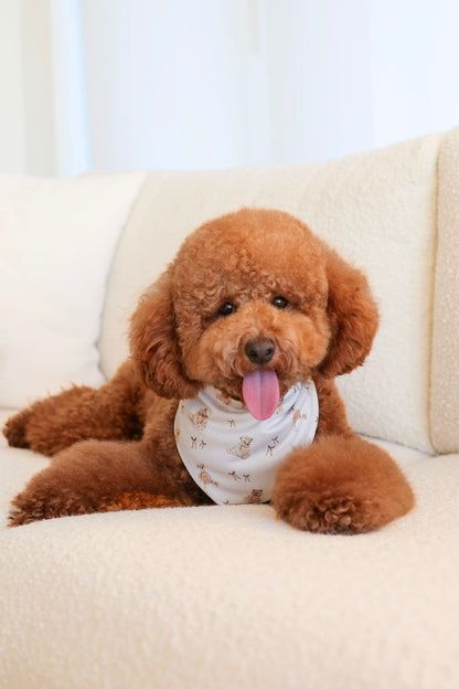 Teddy Bandana