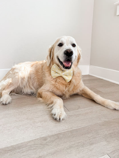Yellow Polka Dot Bow