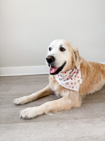 Margo Reversible Bandana