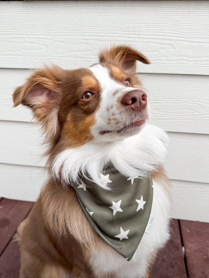 Oliver Stars Bandana