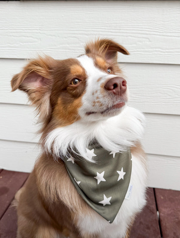 Oliver Stars Bandana