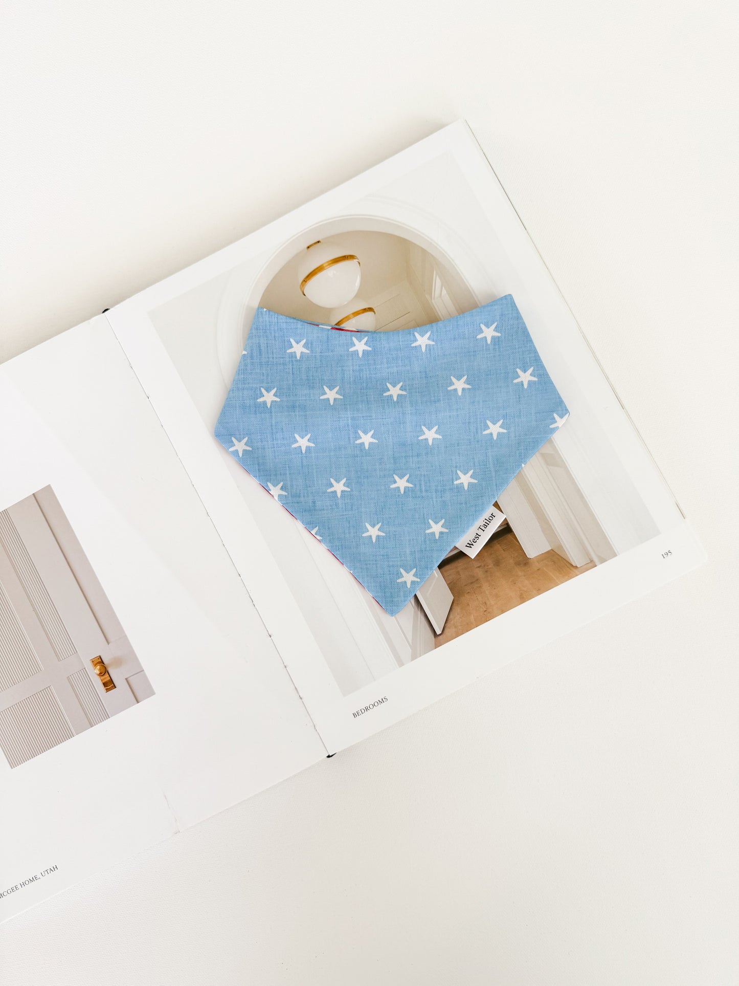 Mason Baby Blue  Bandana