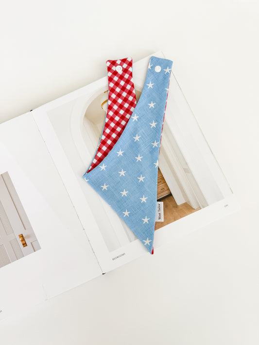 Mason Baby Blue  Bandana